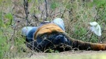 Localizan el cadáver de un hombre con signos de violencia en la comunidad de Mata de Plátano de Uruapan