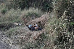 Localizan el cadáver de un hombre no identificado sobre una brecha que conduce a la comunidad de Magallón, Uruapan