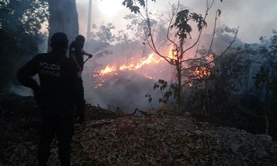 Se inicia y propaga peligroso incendio de pastizal en Zamora, Michoacán