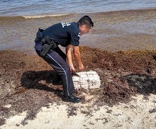 fue ubicado un costal amarrado con plástico en la orilla de la costa, ewsultó clohidrato de cocaína